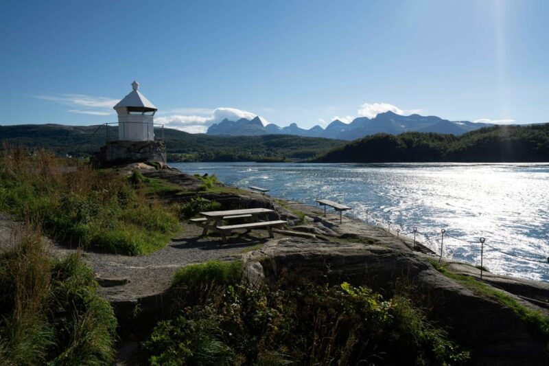 Saltstraumen: Arctic Adventure and Scenic Journey W/ Pick up - Key Points
