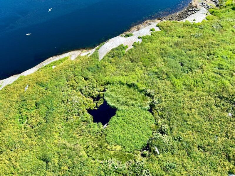 Saltstraumen: Arctic Adventure and Scenic Journey W/ Pick up - Worlds Strongest Tidal Whirlpool
