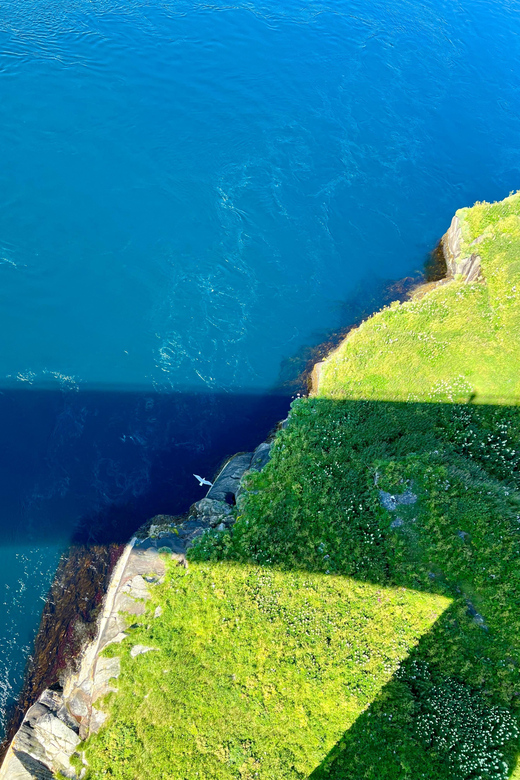 Saltstraumen: Arctic Adventure and Scenic Journey W/ Pick up - Incredible Views and Photography