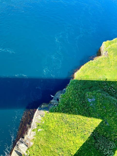 Saltstraumen: Arctic Adventure and Scenic Journey W/ Pick up - Customer Feedback