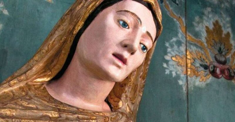 Salvador: 4-Hour Museums Guided Tour - Highlights of the Tour