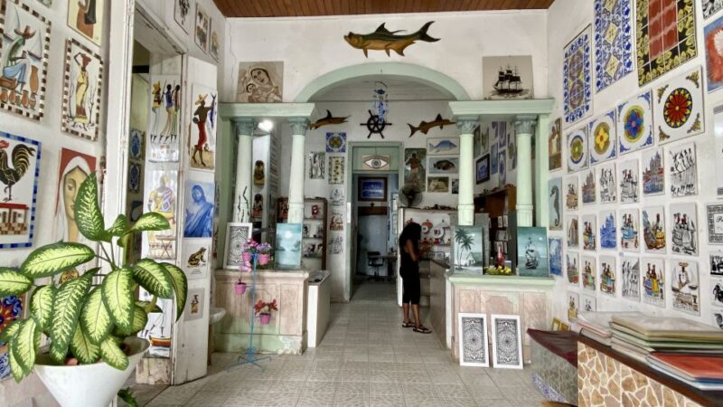 Salvador: City Highlights Private Tour - Itinerary Options