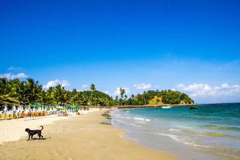 Salvador: Dos Frades & Itaparica Islands Full-Day Boat Tour - Itinerary Highlights