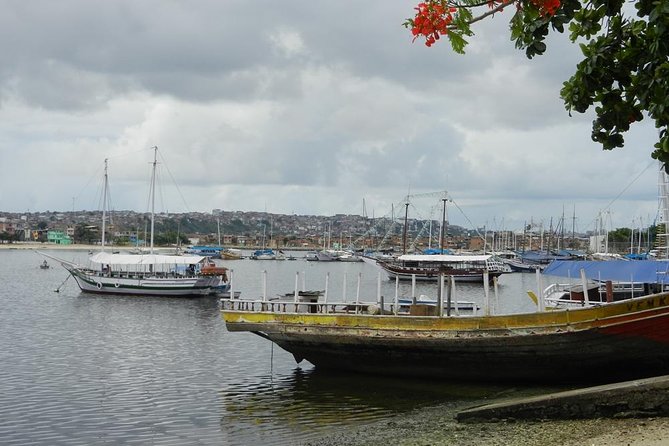 Salvador Full Day City Tour - a Complete Day to Discover This Magic Salvador! - Inclusions