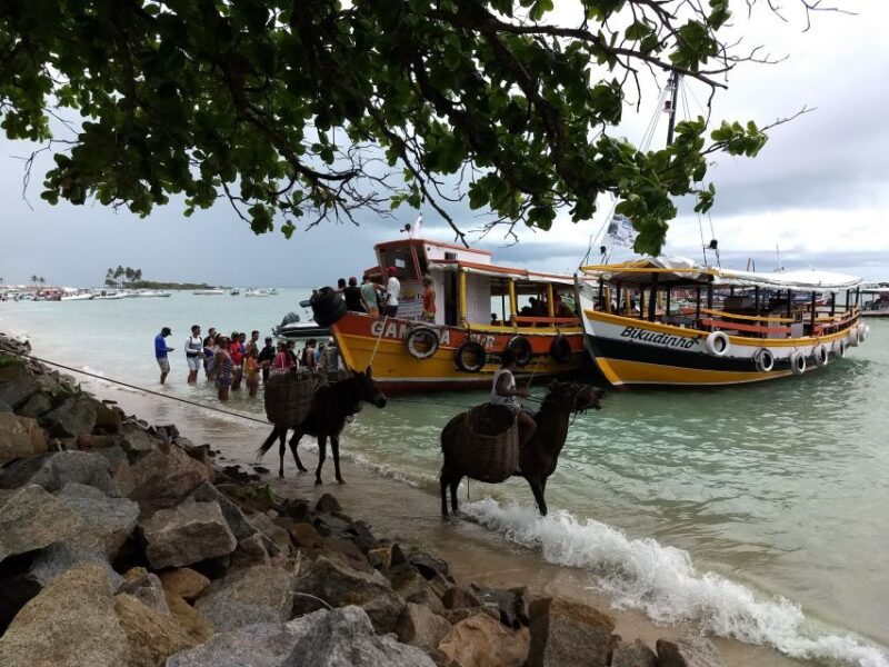 Salvador: Morro De São Paulo Island Transfer Service - Key Points
