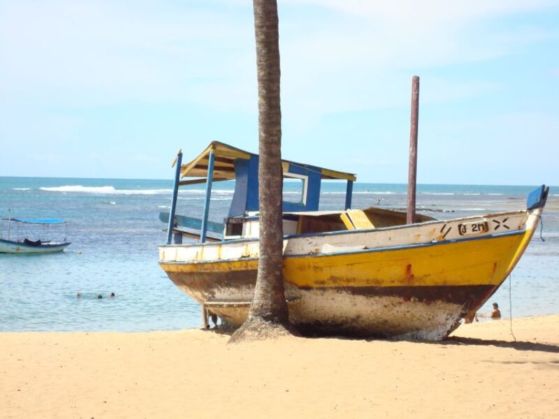 Salvador: Praia Do Forte and Guarajuba Beach Day Trip - Sampling Bahian Cuisine