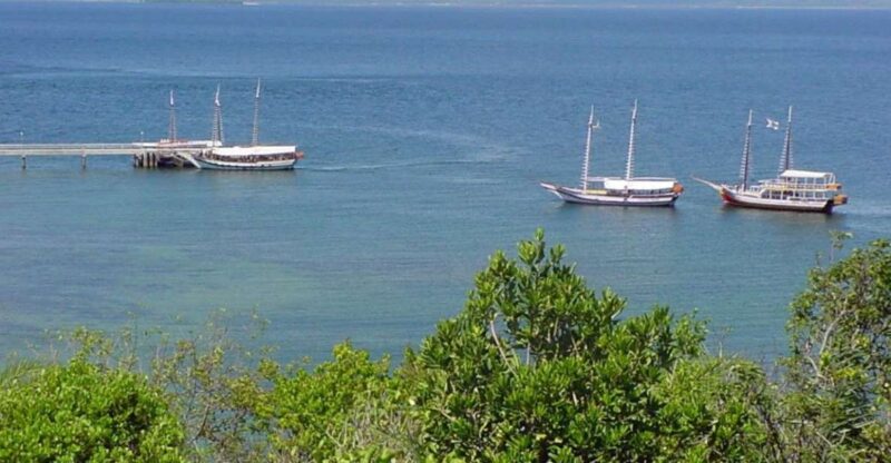 Salvador: Schooner Cruise With Pickup and Itaparica Stop - Trip Overview
