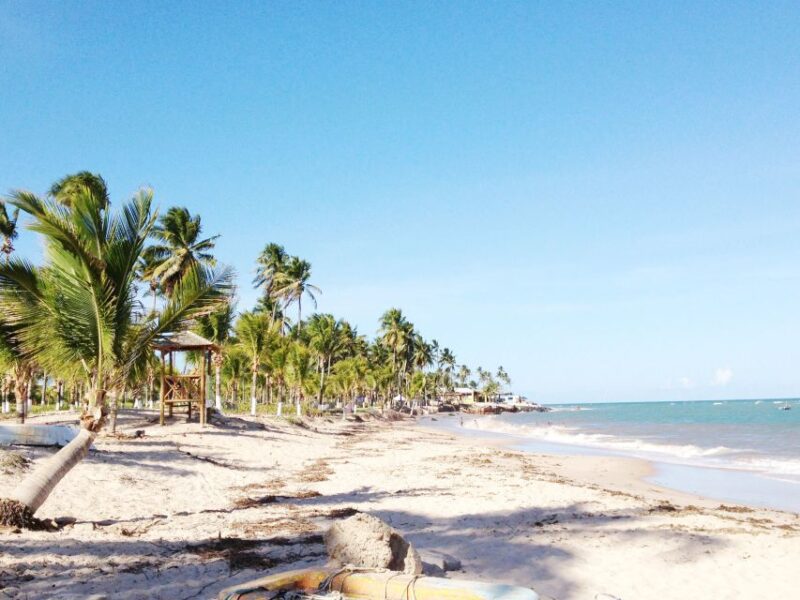 Salvador: Schooner Cruise With Pickup and Itaparica Stop - Visit to Itaparica Island