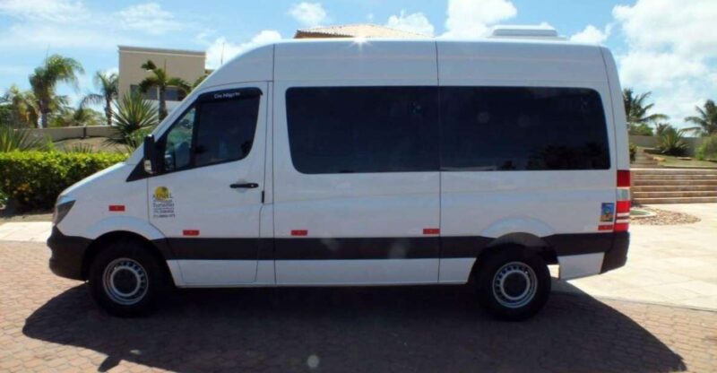 Salvador: Shared Transfer From the Airport to Hotels - Vehicle and Driver Amenities