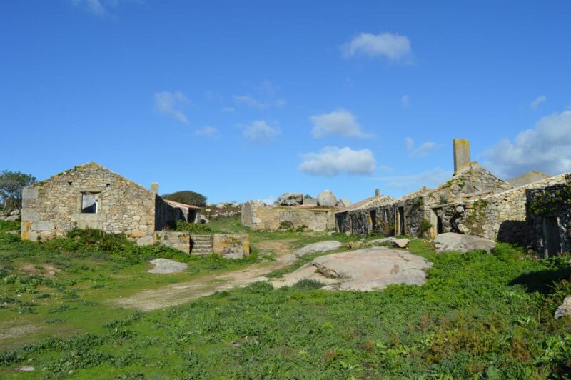 Salvora: Island Tour With Mussel Tasting - Departure and Accessibility