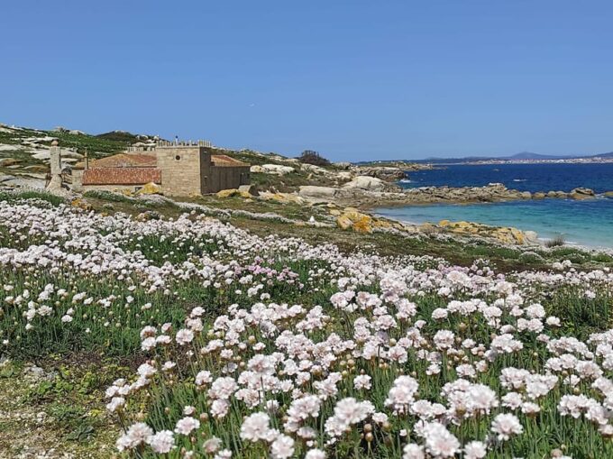 Salvora: Island Tour With Mussel Tasting - Group Size and Packing