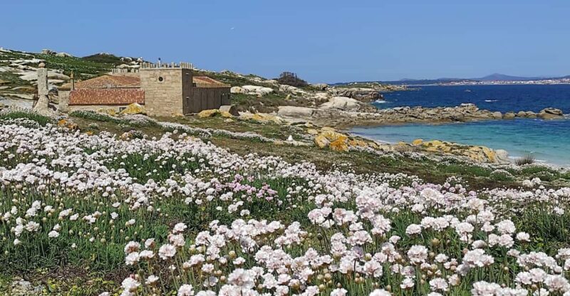 Salvora: Island Tour With Mussel Tasting - Key Points