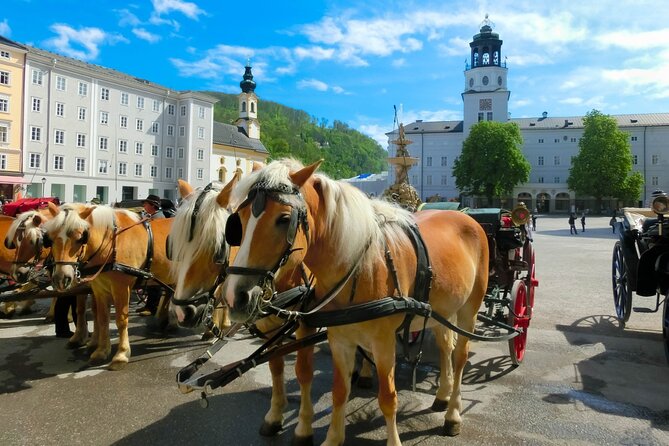 Salzburg and Lake Region Private Day Trip From Vienna - Pickup and Accessibility