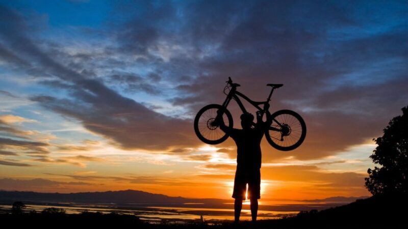 Salzburg: City and Countryside Mountain Bike Tour - Tour Highlights