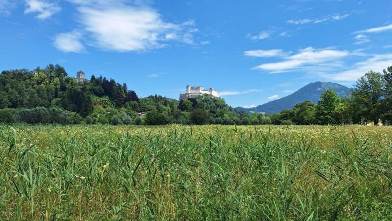 Salzburg: Nature and Culture on Two Wheels - Meeting Point