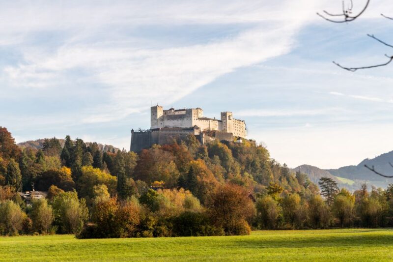 Salzburg: Original Sound of Music Tour - Transportation and Accessibility