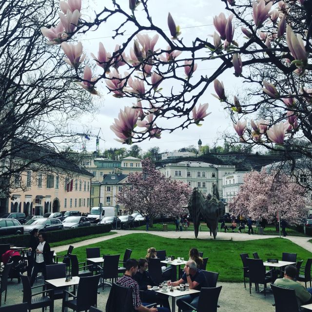 Salzburg: Private City and Surroundings Guided Bike Tour - Suitability and Restrictions