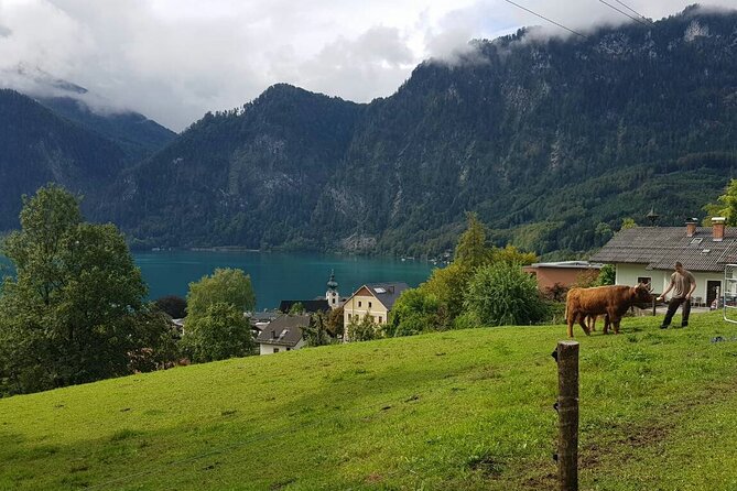 Salzburg Small-Group Day Trip From Vienna - Cancellation and Refund Policy