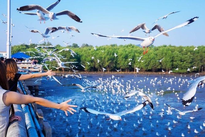Sam Lam Centennial Market in Samut Prakan + Three Elephants Museum + Siam Ancient City + Seagulls + Xena Karin Night Market Day Trip (Weekend) - Meeting and Pickup