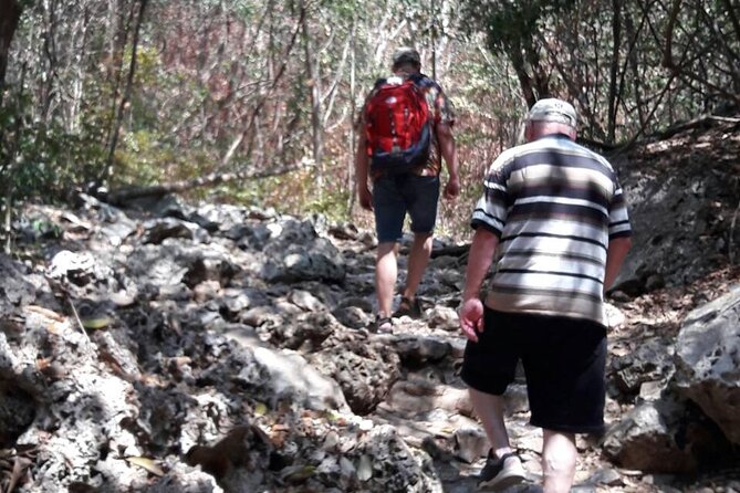 Sam Roi Yod National Park & Praya Nakhon Cave Join Group Tour - Pineapple Plantation Visit