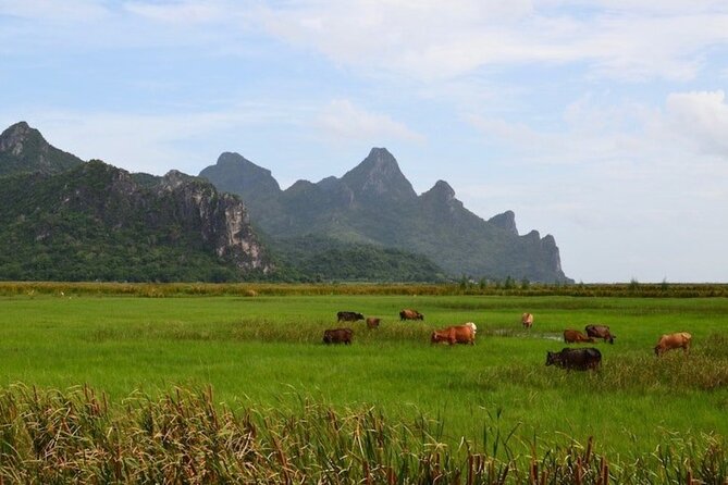 Sam Roi Yod National Park & Praya Nakhon Cave Private Tour From Hua Hin - Experiencing the Fishing Village and Pineapple Plantation