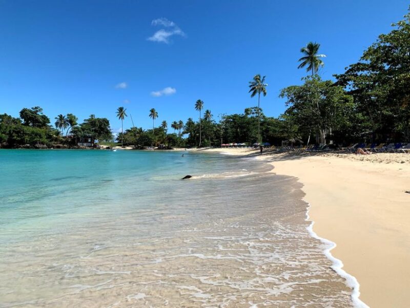Samana: 3 Hrs. ATV Tour Transportation Included. - Hotel Pickup and Drop-off
