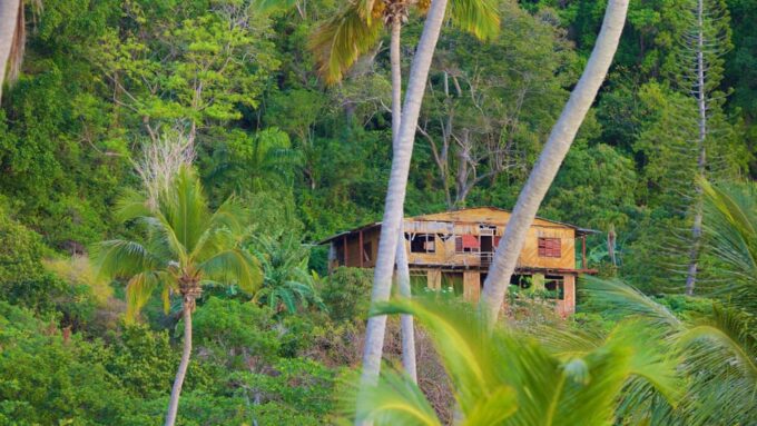 Samaná Adventure: Rincón Beach & Cayo Levantado Experience - Transportation and Guide