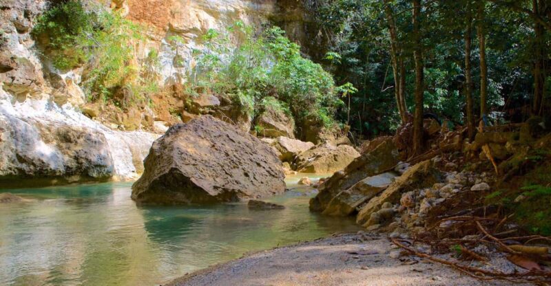 Samana Adventure to El Limon Waterfall & Bacardi Island - Experience Highlights