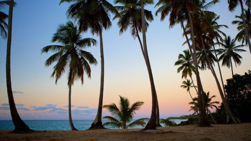 Samana Adventure to El Limon Waterfall & Bacardi Island - Important Information