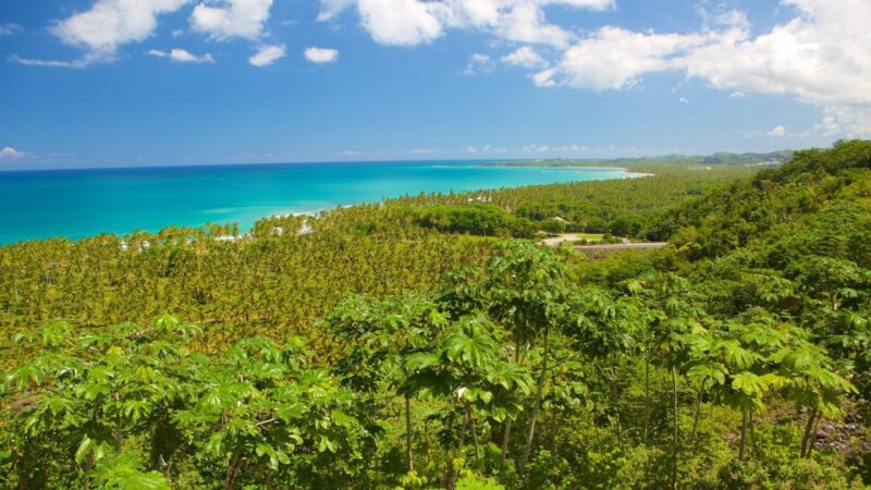 Samana Adventure to El Limon Waterfall & Bacardi Island - Customer Reviews