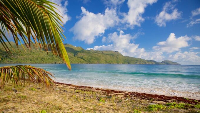Samana Adventure to El Limon Waterfall & Bacardi Island - Adventure in Lush Jungle