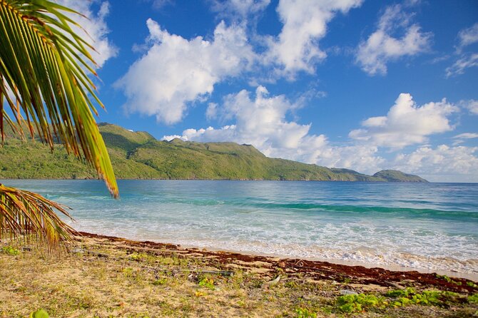 Samana Adventure to Playa Rincon & Cayo Levantado - Playa Rincon Exploration