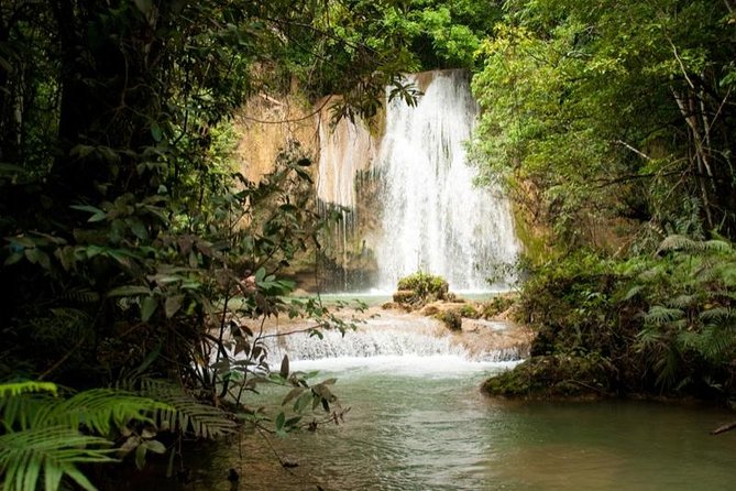 Samana: Bacardi Island and El Limon Waterfall - Dominican Buffet and Open Bar