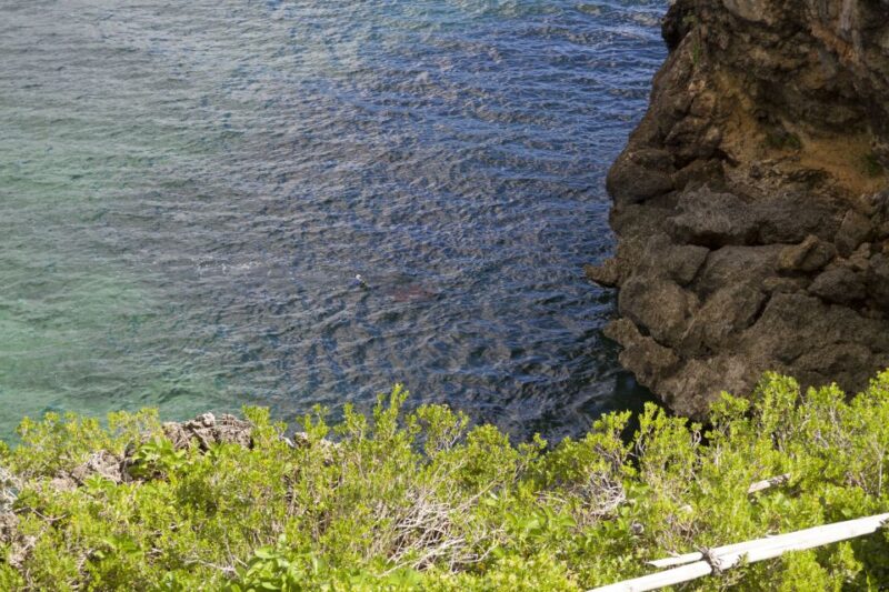 Samana Bay: Cayo Levantado Snorkeling and Kayaking Tour - Booking and Cancellation Policy