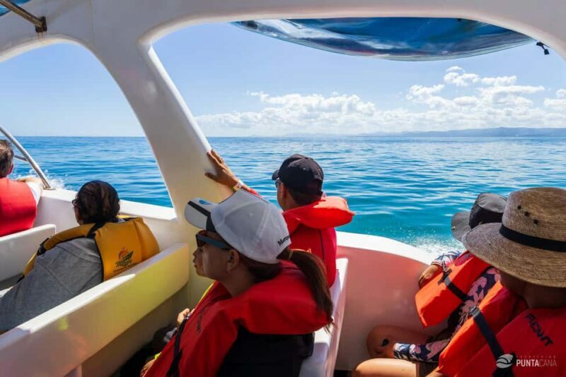 Samaná Bay Eco Whale Watching + Cayo Levantado & El Limón - Who Should Consider This Tour?