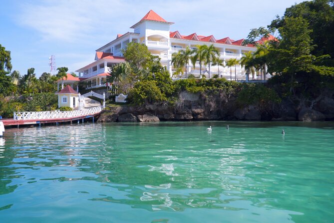 Samana Bay Whale Watching Full Day Tour With Lunch From Punta Cana - Tour Overview