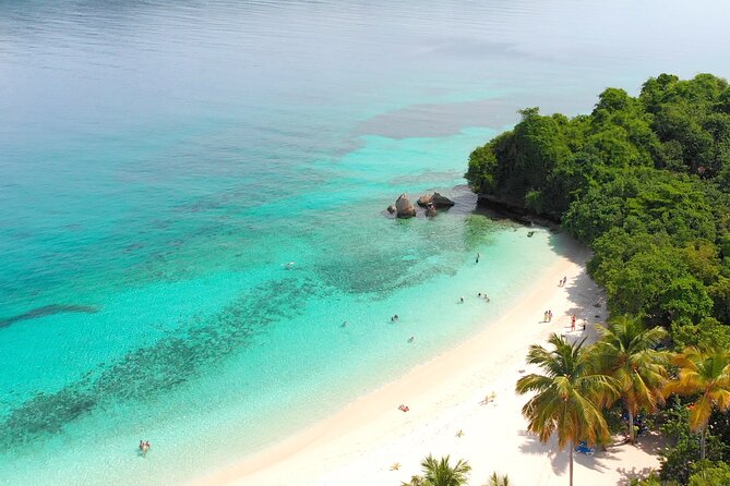 Samana Bay Whale Watching Full Day Tour With Lunch From Punta Cana - Customer Feedback