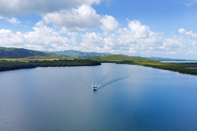 Samana Bay Whale Watching Full Day Tour With Lunch From Punta Cana - Cuisine and Refreshments