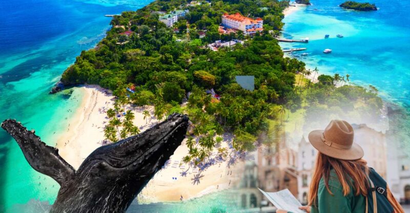Samana: City Tour + Whale Watching + Cayo Levantado - Key Points