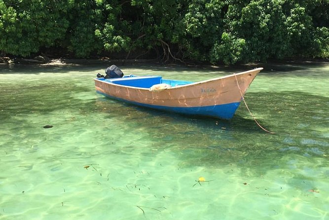 Samana Day Trip From Punta Cana: Cayo Levantado & El Limon Waterfall - Inclusions and Exclusions