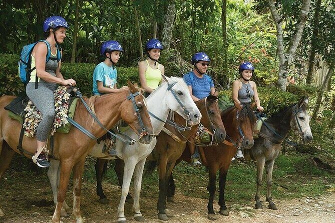 Samaná El Limón Waterfall and Isla Cayo Levantado from Punta Cana - A Detailed Look at the Tour Experience