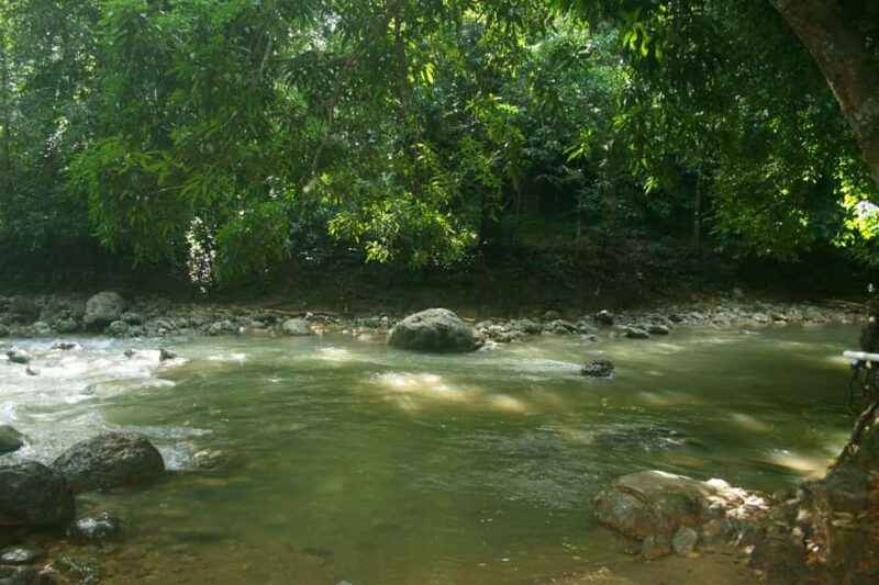 Samaná: El Limón Waterfall Horseback Riding Tour - Pricing and Value