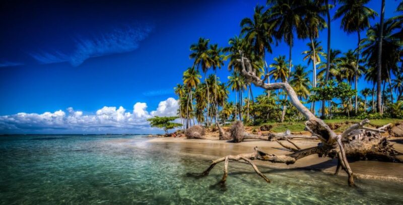 Samana From Punta Cana: Cayo Levantado & El Limon Waterfall - Important Information and Recommendations