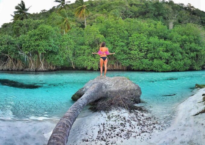 Samana From Punta Cana: Cayo Levantado & El Limon Waterfall - Activities at Cayo Levantado