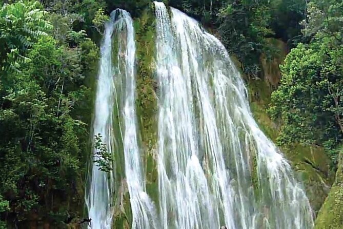 Samaná Full-Day Cultural Adventure Tour From Santo Domingo - About Your Stay