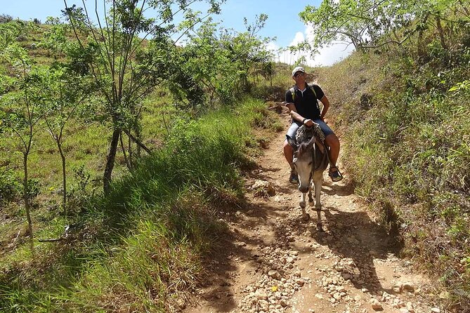 Samaná Full-Day Cultural Adventure Tour From Santo Domingo - Booking Your Stay