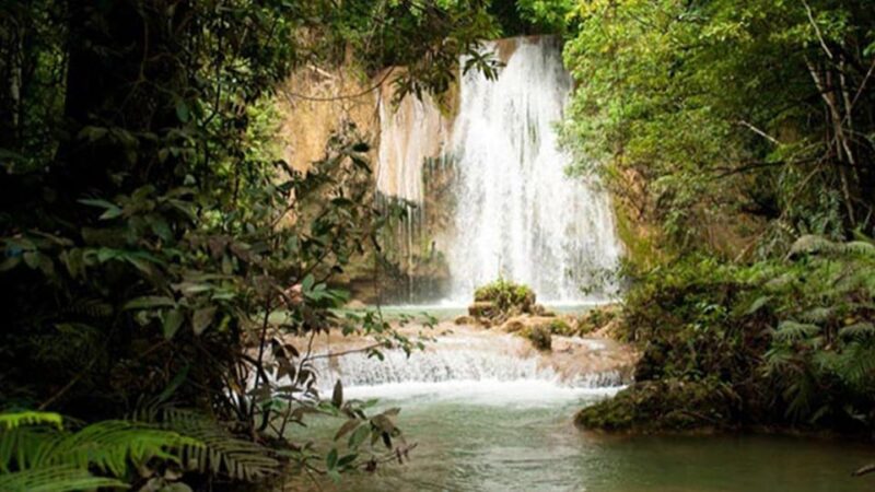 Samana Full Day From Punta Cana - Itinerary Highlights