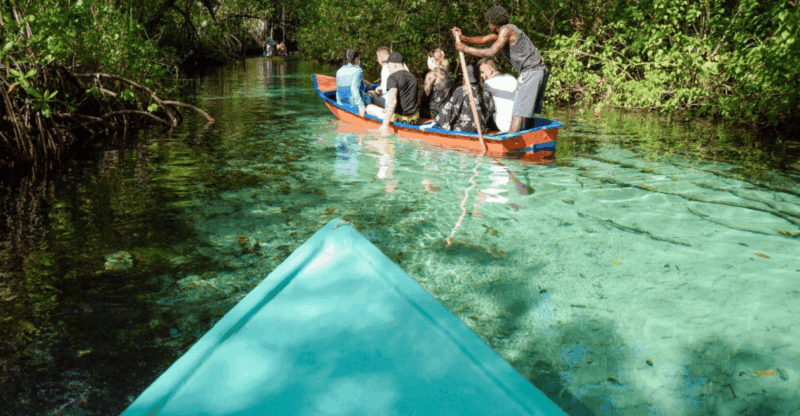 Samana: Full Day Samana Amazing Tour Punta Cana - Key Points