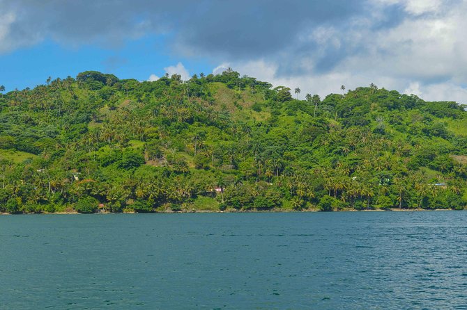 Samana Full-Day Tour With Whale Watching and Horse Riding - Tour Overview