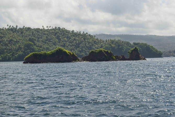 Samana Full-Day Tour With Whale Watching and Horse Riding - Salto El Limon Waterfall